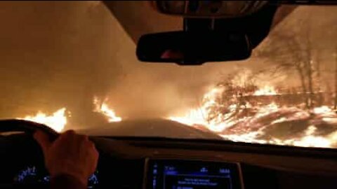 Fuggono in auto dalle fiamme dell'incendio californiano