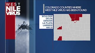 West Nile Virus found in 6 Colorado counties