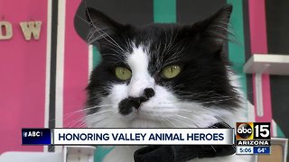 Honoring Valley animal heroes
