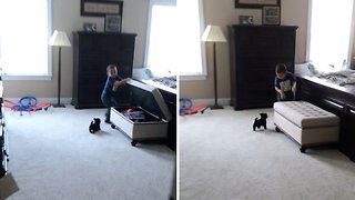Petrifying Puppy! Little Toddler Is Terrified Of Adorable Dog