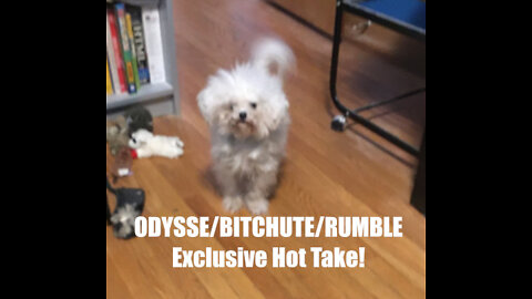Rumble/Odysee/Bitchute Exclusive Hot Take: May 12th 2022 News Blast!