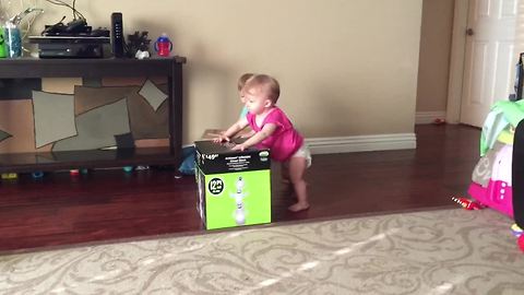 Twin babies compete in adorable box race