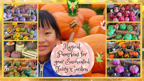 Teelie's Fairy Garden | Magical Pumpkins for your Enchanted Fairy Garden | Teelie Turner