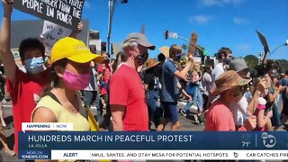 Hundreds march in peaceful protest