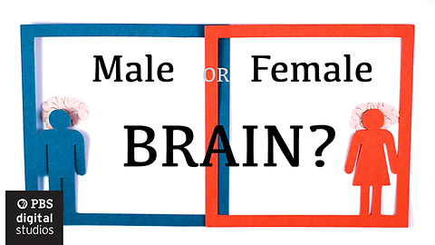 This Test Show Us Whether We Have A Male Or A Female Brain