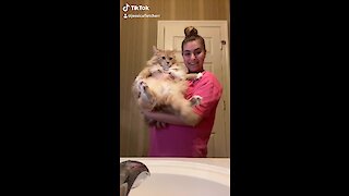 Irritated cat puts owner in check