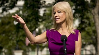 Kellyanne Conway Leaving White House Job To Focus On Family