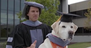Virgina Tech therapy dog gets honorary degree