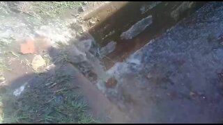SOUTH AFRICA - Durban - Burst water pipe (Videos) (EQa)