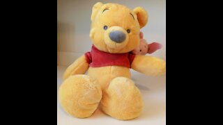 Winnie The Pooh for Sale