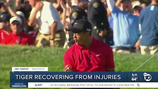 Tiger Woods recovering from injuries after crash