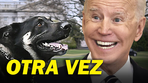 El perro de Biden es noticia | Reformas electorales | Los 45 objetivos del comunismo