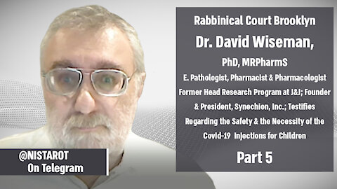 Brooklyn Rabbinical Court: Dr. David Wiseman part 5 | @nistarot on Telegram