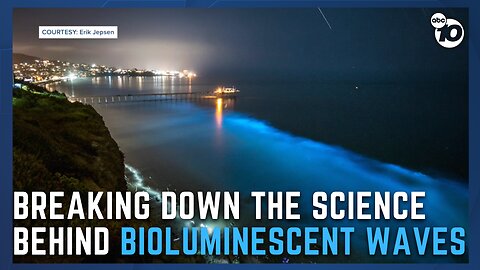 Glowing bioluminescent waves are back in San Diego
