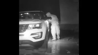 WATCH: Man steals from car