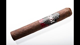 Rocky Patel 1961 Robusto Cigar Review