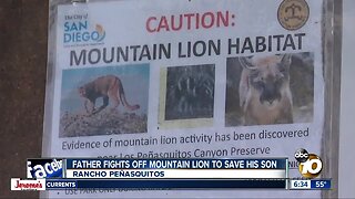 Trail remains closed after possible mountain lion attacks boy