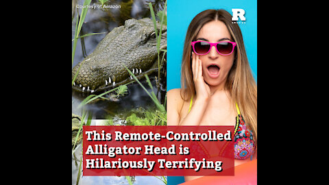 This Remote-Controlled Alligator Head is Hilariously Terrifying