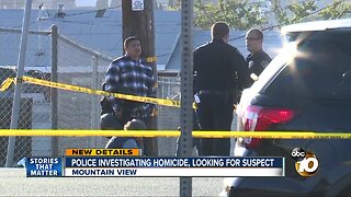 Police investigating Mountain View homicide