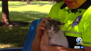 Kitten rescued from car in Delray Beach