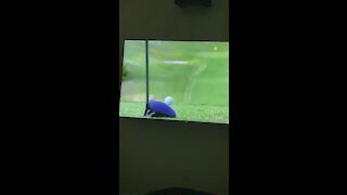 Golfer Almost hits black couple.