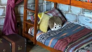 Mother creates amazing 'Harry Potter' bedroom for her kids