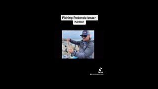 fishing redondo beach harbor