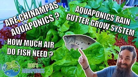 Are Chinampas Aquaponics - How much Air for fish - Rain Gutter Grow System and MORE 🐟🥬🍓