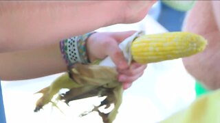 Wisconsin State Fair Vendors give back to community