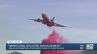 State Legislature evaluating wildfire response, protections