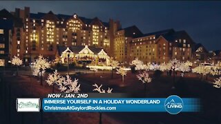 Immerse Yourself In Christmas // Gaylord Rockies