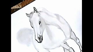 Drawing a white horse