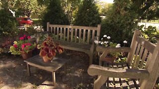 Melinda’s Garden Moment - Create Intimate Garden Spaces with Plantings