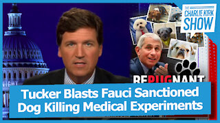 Tucker Blasts Fauci Sanctioned Dog Killing Medical Experiments