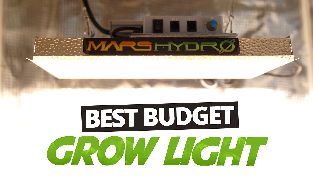 The Best Budget Grow Light You Can Buy Mars Hydro TS 1000 Review