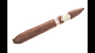 Punch 2014 Rare Corojo Salomones Cigar Review