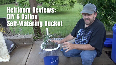 Heirloom Reviews: DIY 5 Gallon Self-Watering Bucket