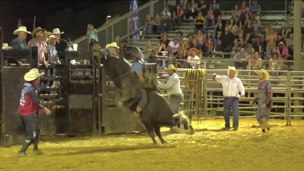 Tampa Bay Rodeo & Family Festival Morning Blend
