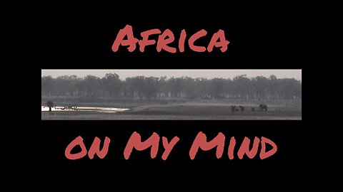 Africa on My Mind