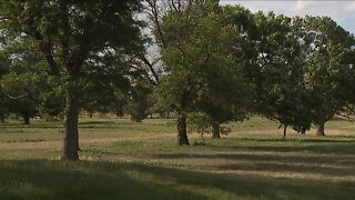 City of Denver asking for feedback to finalize draft plan for former Park Hill Golf Course