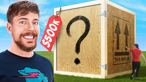 I Bought The Worlds Largest Mystery Box 500000$