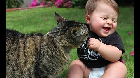 Funny_Babies_Laughing_Hysterically_at_Cats_Compilation