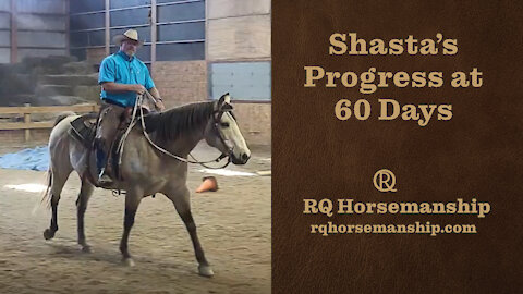 Shasta's Progress at 60 Days