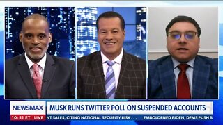Elon Musk is bringing back most of the suspended accounts on Twitter, and the left is losing their minds.