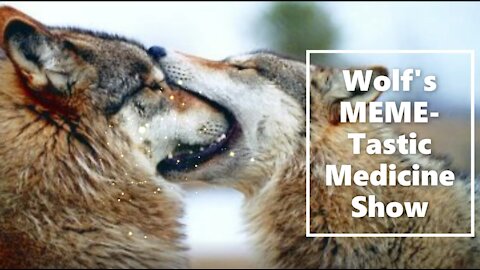 Wolf's MEME-Tastic(!) Medicine Show