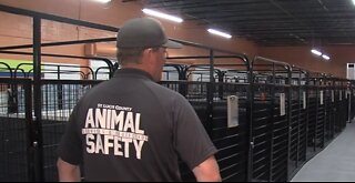 Inside look at temporary animal shelter