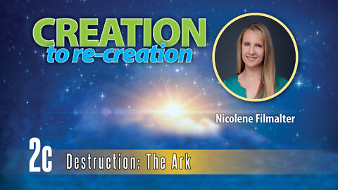 Nicolene Filmalter - Destruction: The Ark - Creation To Re-creation 2c