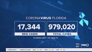 Coronavirus cases in Florida as of Nov. 28th