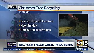 Recycle your Christmas trees!