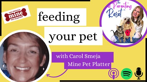 HOW You Feed Your Pet Is As Important As What You Feed